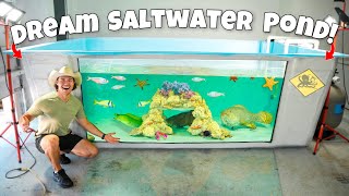 My DREAM SALTWATER POND Is Finally Complete! (Part 3)