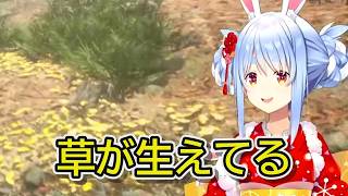 【兎田ぺこら】話題のゲームを遊ぶぺこーら ※ネタバレ注意【切り抜き】