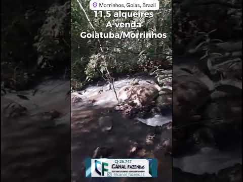 Sítio de terra boa é muita água a venda em Morrinhos Goiás. #fazenda #imovelrural #fazendaavenda