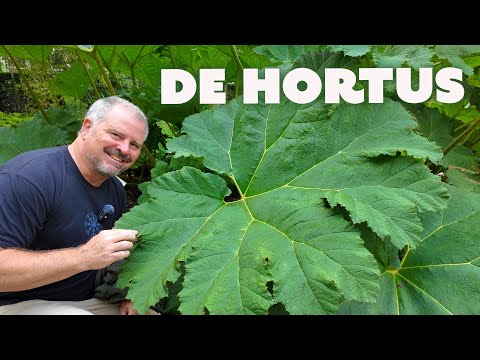 Amsterdam Garden Tour - De Hortus