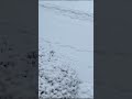 Snow In USA 2022 Ishanivlogs