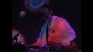 Super Furry Animals - If You Don't Want Me To Destroy You (Live @ Brixton Academy, London, 08/05/15)
