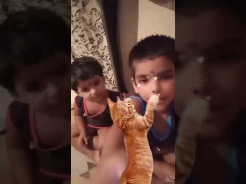 Iiiui8iiiiuhvvvghhhhhuhu7ytrrtyuiokkb xssz