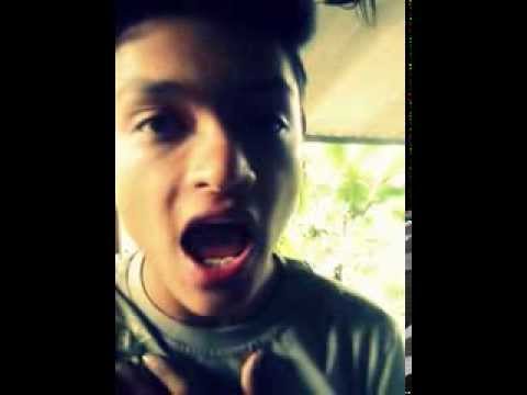 miley cyrus brandon wrecking ball