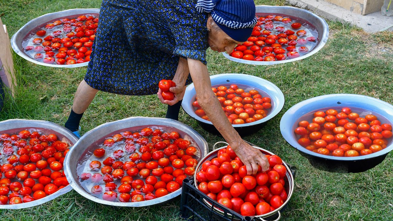 PRESERVE FRESH TOMATOES FOR YEARS | HARVESTING FROM GARDEN AND PRESERVE FOR WINTER