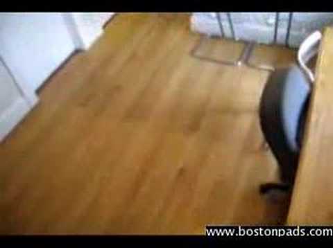 Boston, MA Real Estate- A Marvelous BackBay pad