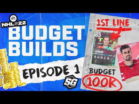 BEST BUDGET TEAM IN NHL 22 | HOW TO START IN HUT