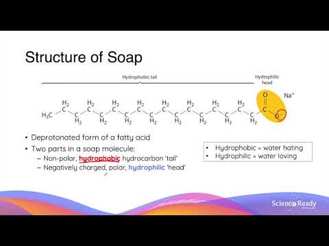 What is Saponification? Structure and Action of Soaps and Detergents // HSC Chemistry