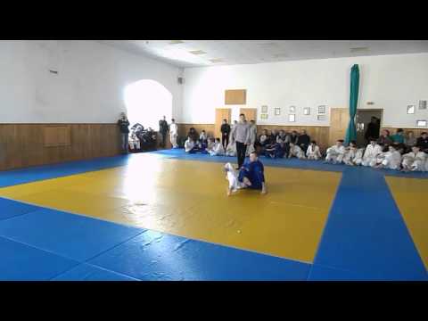 Сапунов Денис. Чемпіонат області з дзюдо. 26.03.2016р.