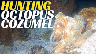Hunting Octopus of Cozumel - Mexico Scuba Diving Adventure  - Ep 54