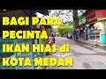 Toko Ikan Hias Di Jalan Thamrin Medan