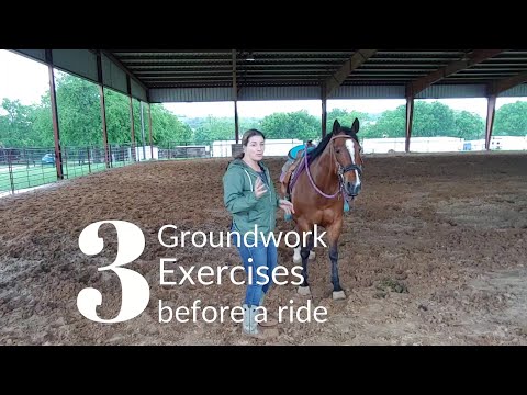 3 Basic Groundwork Exercises to Do before a ride to establish respect and rein and leg cues