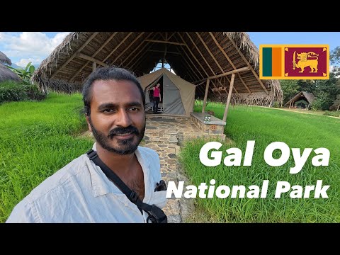 Exploring Gal Oya National Park - An untouched gem in Sri Lanka
