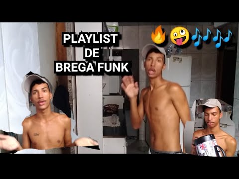 MINHA PLAYLIST DE BREGA FUNK #1