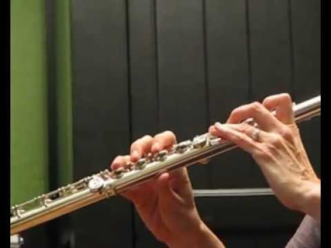 Yamaha 871 Professional Handmade Flute (Used) - Demo of Low and High Registers