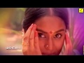 MALLIGAI POOVAZHAGIL ANNAI VAYAL LYRICS VIDEO SPB S JANAKI VINODHINI VIJAY MUSICALS