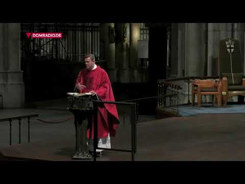 Domkapitular Dominik Meiering über die Botschaft von Matthäus – Predigt, Frühmesse am 21.09.2020