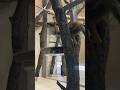 Squirrel Monkey Mischief Hilarious Moments Caught on Camera
