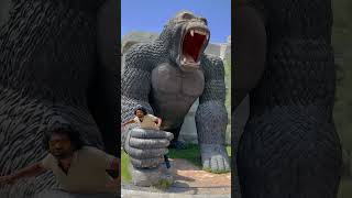 Download lagu Catch King Kong and save everyone by subscribing #shorts #uae mp3