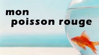 Mon poisson rouge ayant appris...