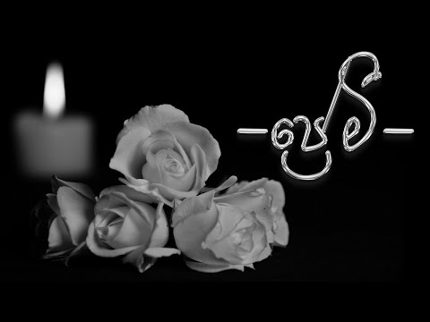 Premi (ප්‍රේමී) Chamara Fernando ft Samila Romana Banneheka | Official lyrics video