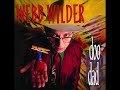 Webb Wilder - Tough It Out (1991) | Roots Rock / Rockabilly | HQ Audio Rip