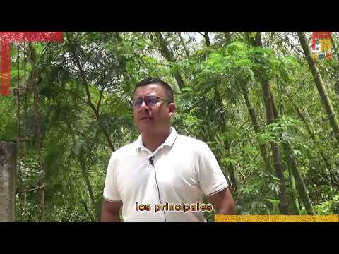 Historia de Vida y Obra.Net | Danny Leandro Gómez Aguirre. Zipacón - Cundinamarca