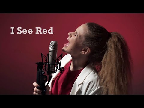 Everybody Loves An Outlaw - I See Red (Vasya Boykova cover)