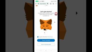 How to Install MetaMask Wallet Extension on Mises Browser
