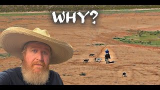 Download lagu I'm not ready for THAT yet mp3 Download lagu I'm not ready for THAT yet mp3