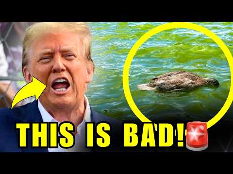 🚨Trump RAGES As His Reflection Pool Has A BIG NEW PROBLEM!