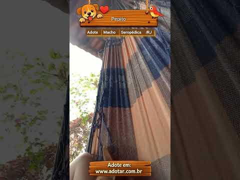 Vídeo de Pepito