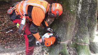 STIHL MS 661 C-M