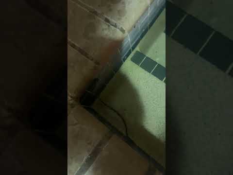 Snake seen slithering in hotel hot tub in Germantown, Wisconsin