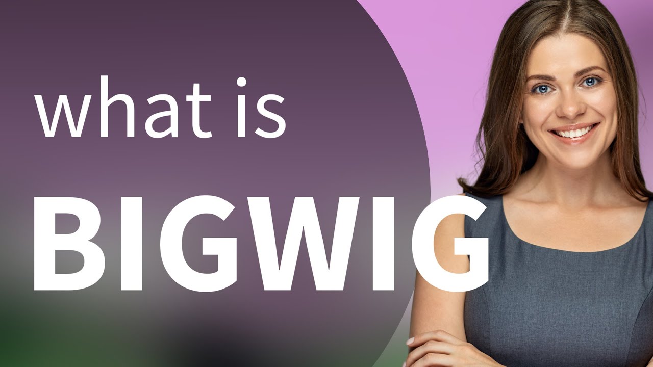 Bigwig • what is BIGWIG definition