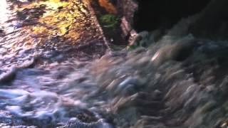 preview picture of video 'Flood and storm destruction in Jesmond Dene, Tyneside'