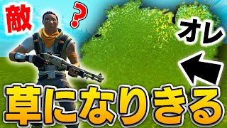 試合中ずっと草に隠れ続けてビクロイをしたい。【フォートナイト•ふぉとな】