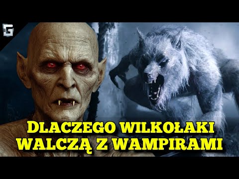 Dlaczego Wilkołaki Walczą z Wampirami?