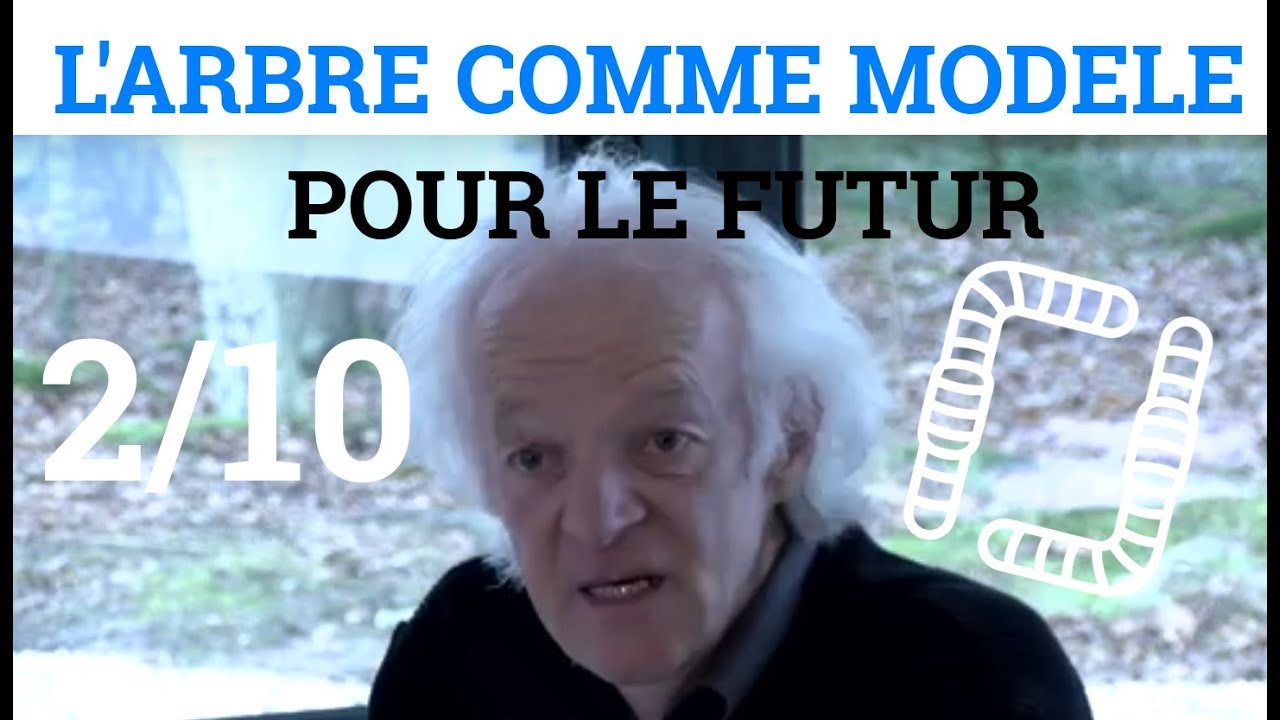 2/10 - Ernst ZÜRCHER - L'Arbre comme Modèle pour le Futur - La Forêt