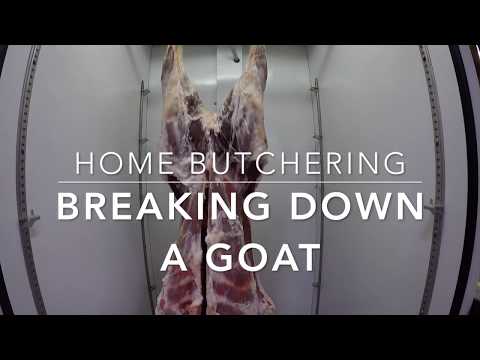 download lagu mp3 mp4 Goat Butchering Chart, download lagu Goat Butchering Chart gratis, unduh video klip Goat Butchering Chart
