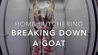 Goat & lamb butchering at home