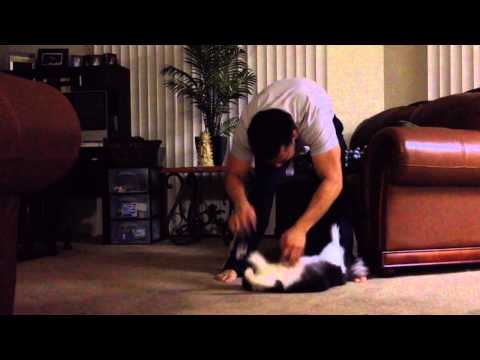 Pepper Likes To Play Rough