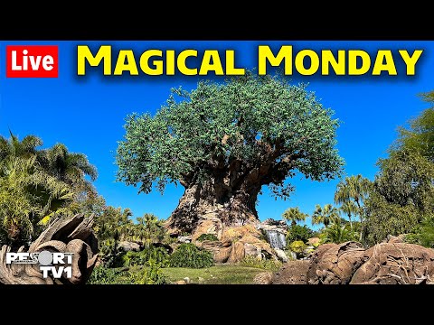 🔴Live: A Relaxing Magical Monday at Animal Kingdom - Walt Disney World Live Stream - 1-22-24