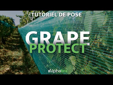 , title : 'Grape Protect - Tutoriel de pose de notre filet pour les vignes - Alphatex'