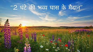 2 घंटे की भव्य घास के मैदान – डिमेंशिया, अल्ज़ाइमर और देखभाल करने वालों के लिए शांतिपूर्ण वीडियो