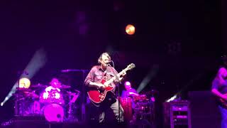 Widespread Panic ~ Thought Sausage