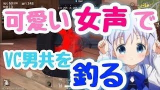 【荒野行動】可愛い女声でVC男共を釣ったった(キャリーしたった)
