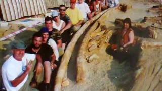 preview picture of video 'the greatest mammoth tooth in the world(worldrecord) 5.03 meters'