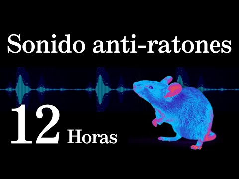 Sonido para ahuyentar ratas y ratones | Ultrasonido para dormir tranquilo sin ratones | 12 Horas
