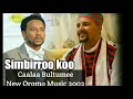 Caalaa Bultumee Maal Wayya Shimbirroo Koo New Oromo Music 2020